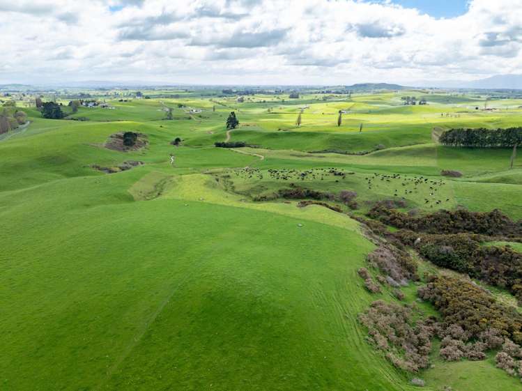 17 Chepmell Road Morrinsville_20