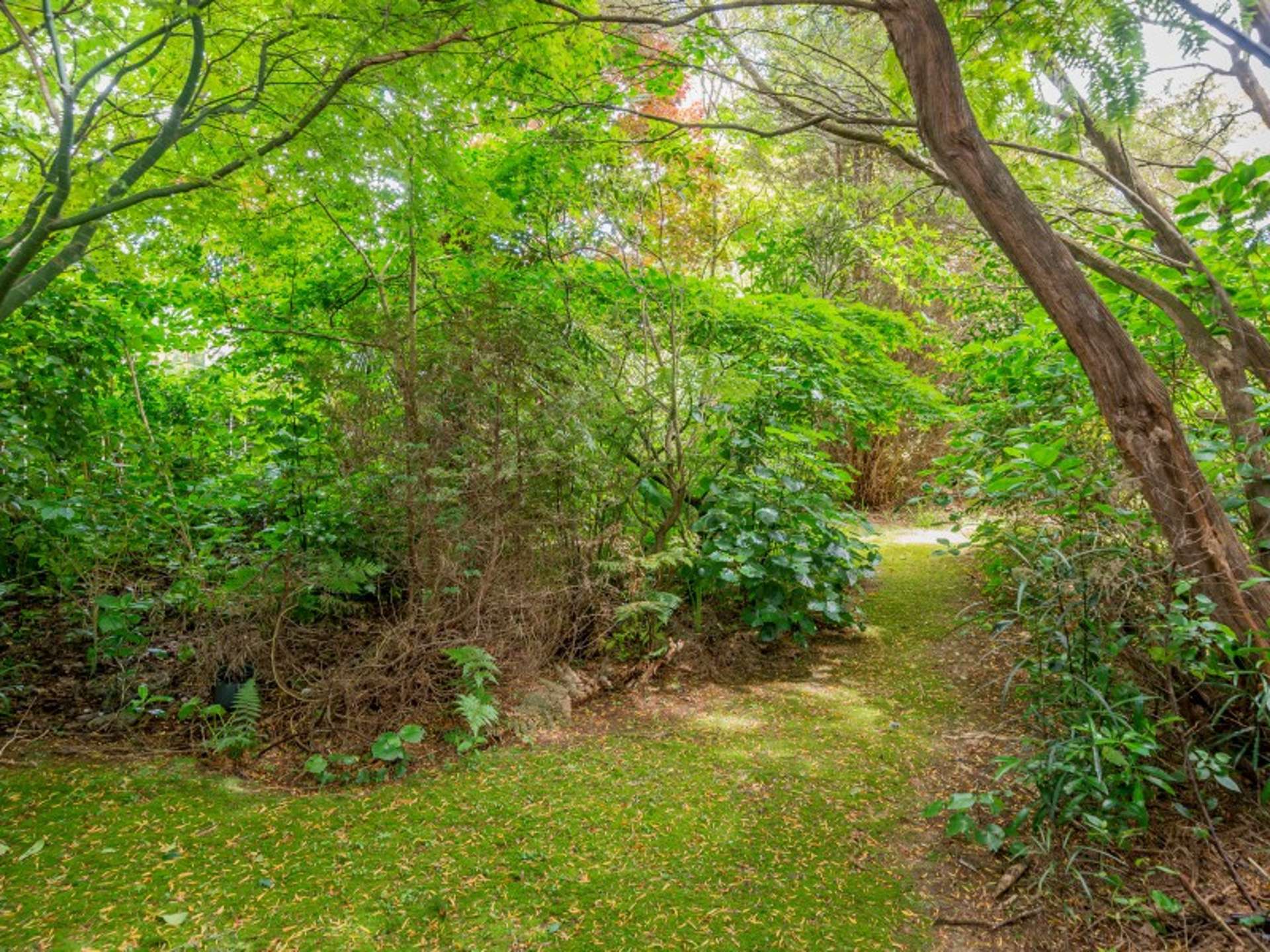 7a Dee Street Levin_0