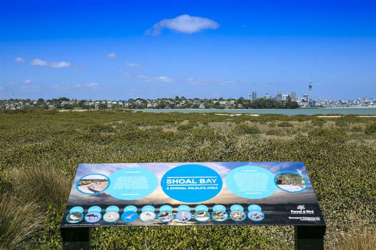 23 Walter Street Hauraki_11