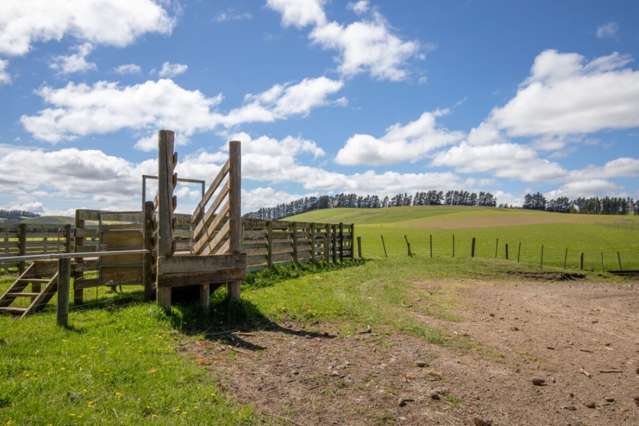 291 Karaka Road Waikari_4