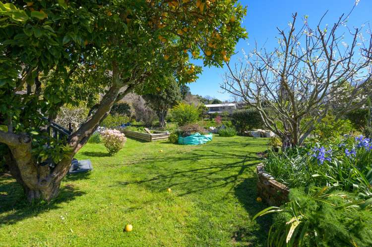 3 Clouston Terrace Maitai_16