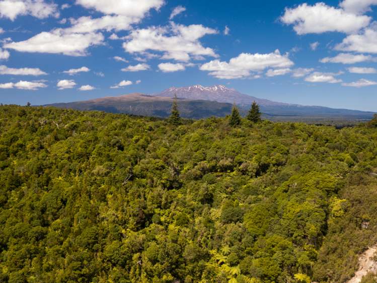 552b Cuff Road National Park_8