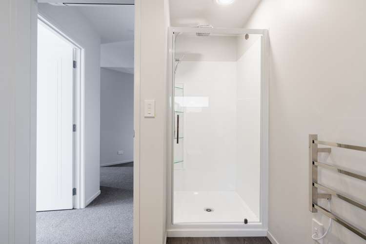 540 North Road Normanby_17