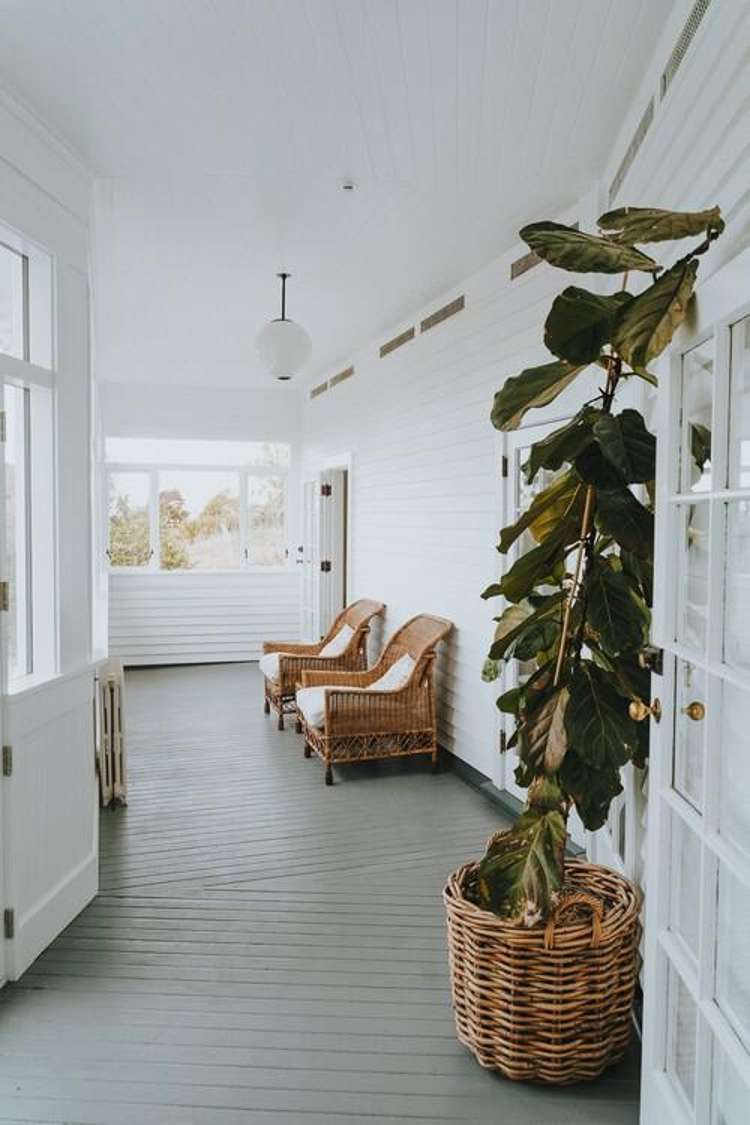 1140 Coast Road, Karitane Dunedin_15