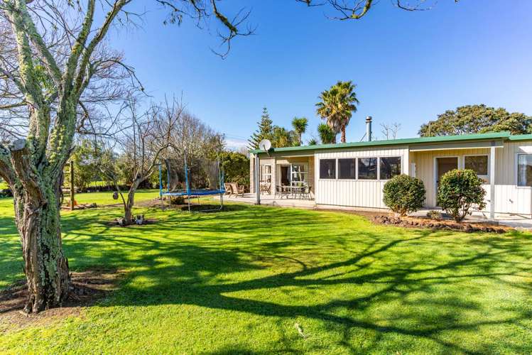 65 Murdoch Street Dargaville_32