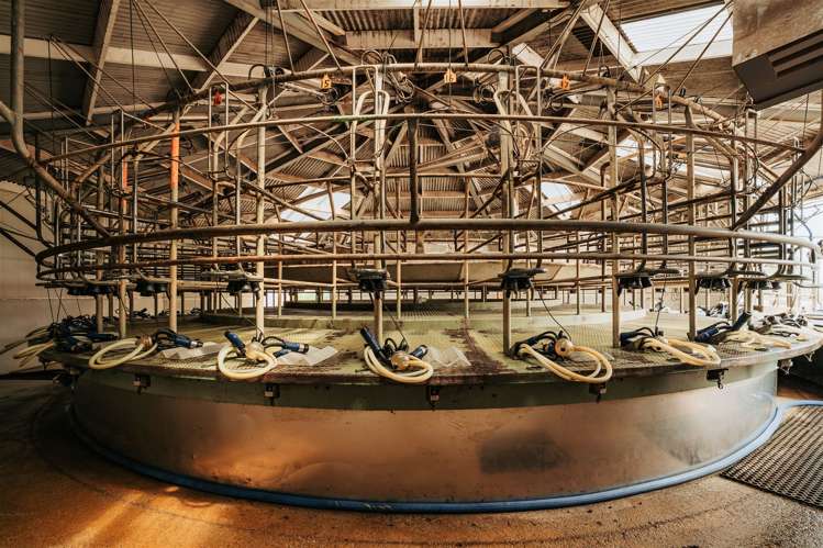 101 Logan Road Owaka Valley_7