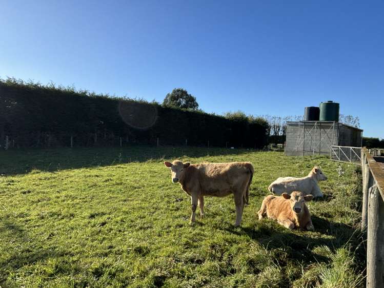 174 Shortland Road Oamaru_22