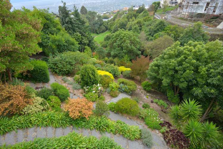 29 Longhurst Terrace Cashmere_4