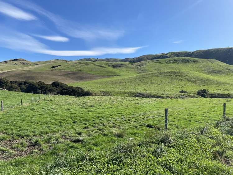 48 Heathfield Road Waipara_13