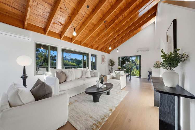 6 Tree Fern Trail_1