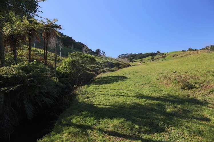 263a Ngatitangata Road Waihi_10