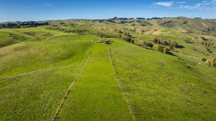 3503 Porangahau Road Porangahau_30