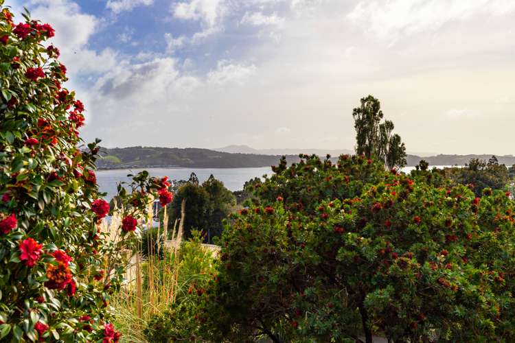 20 Fidelis Avenue Snells Beach_1