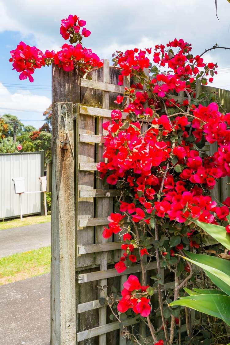 1/38 Onepoto Road Hauraki_23