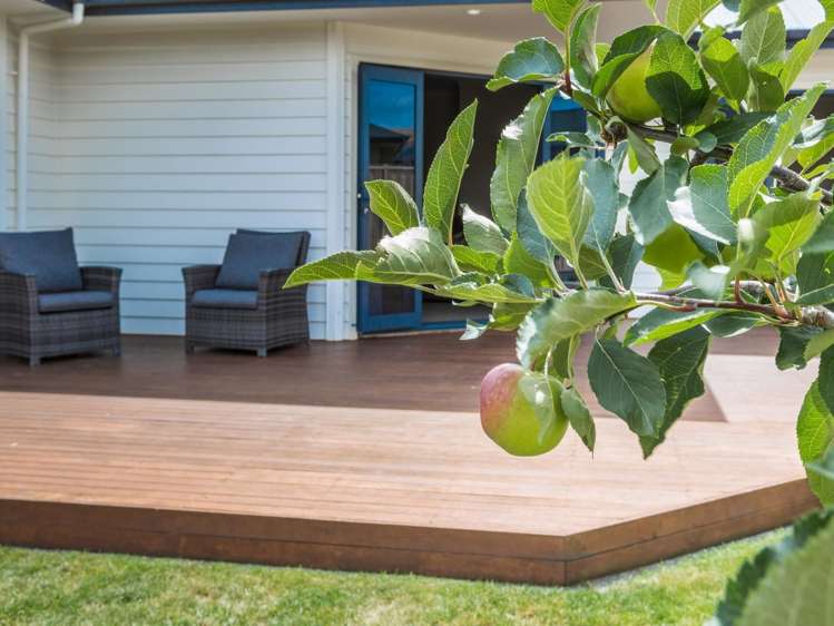 10 Scott Place Havelock North_12