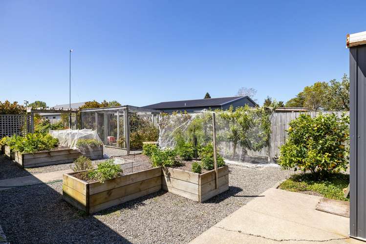 7 Francis Lane Masterton_17