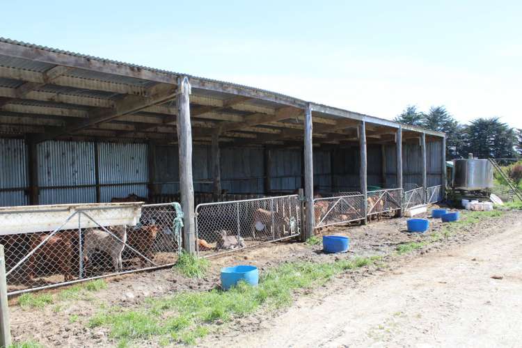 275 Cliff Road Eketahuna_9