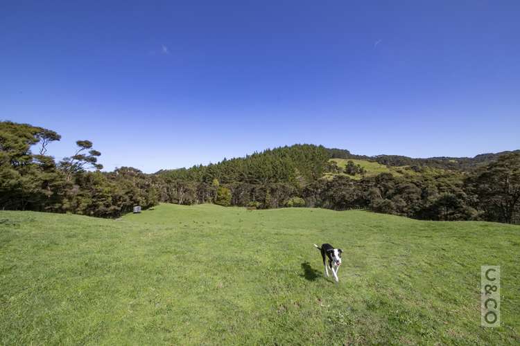 353 Taylor Road Helensville_18