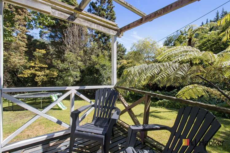 7 Waitawheta Road Waikino_22