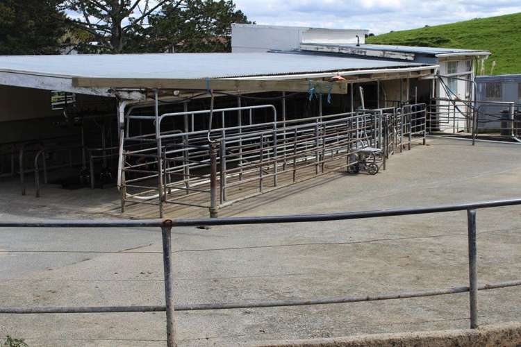 354 Tapuhi Road Hukerenui and Surrounds_8