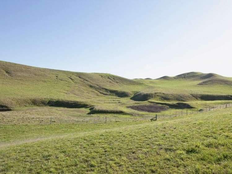 328 Caseys Road Seddon_17