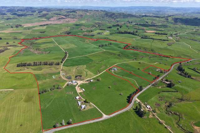 204 Mangatutu Road RD2 Maihiihi_1