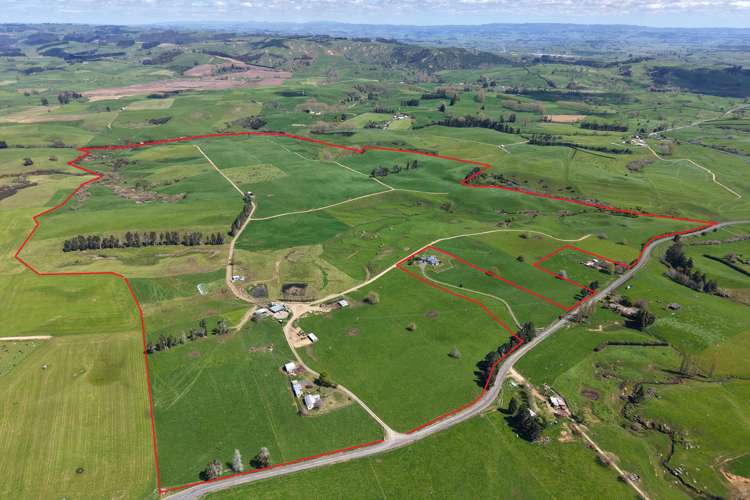 204 Mangatutu Road RD2 Maihiihi_1