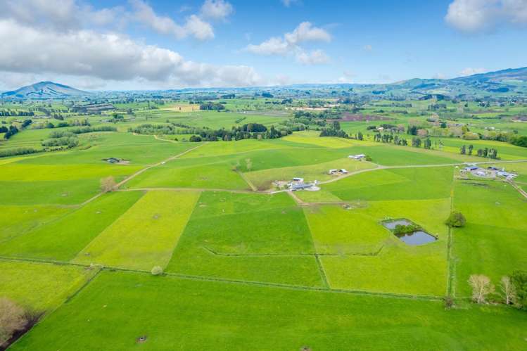 112 Waiari Road Pirongia_15