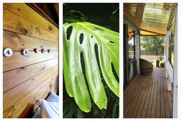 80 Poaka Avenue Dinsdale_16