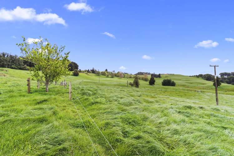 86 Mairoa Road Piopio_8