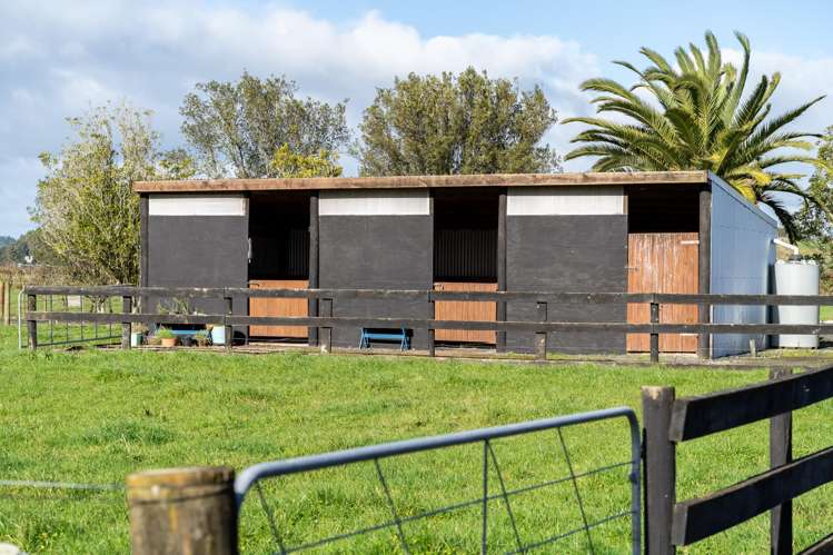 203c Walsh Road Whatawhata_22