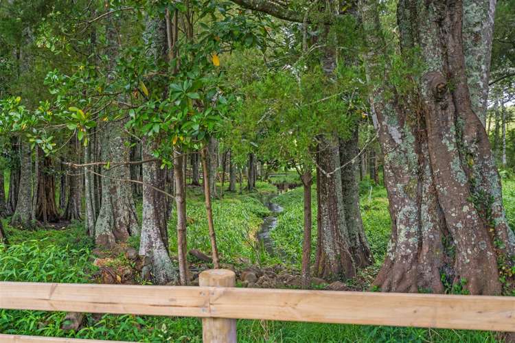 120 Springs Road Poroti_19