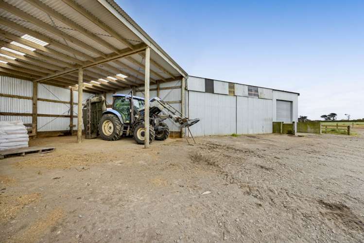 479 Upper Glenn Road Manaia_6