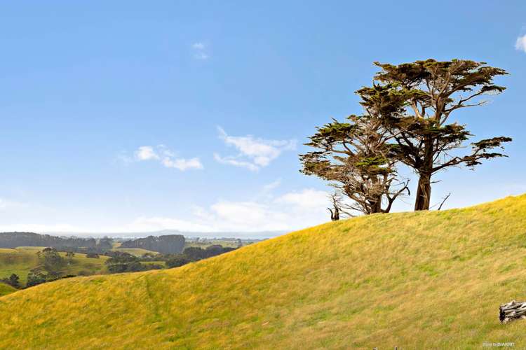 1702 Awhitu Road Pollok_5