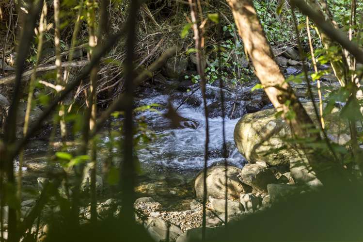 2343 Croisilles-French Pass Road Okiwi Bay_25