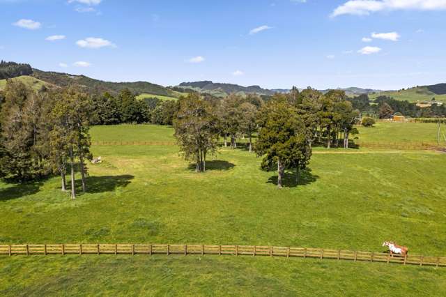 3028 State Highway 23 Raglan_4