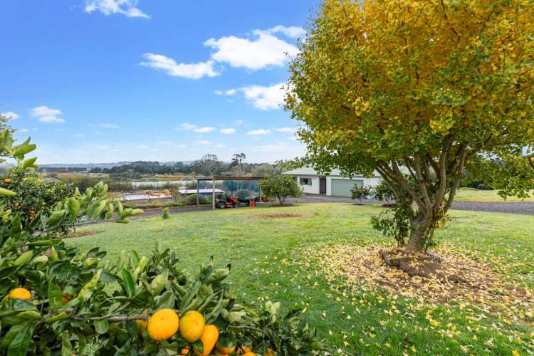 2622 River Road Tuakau_4