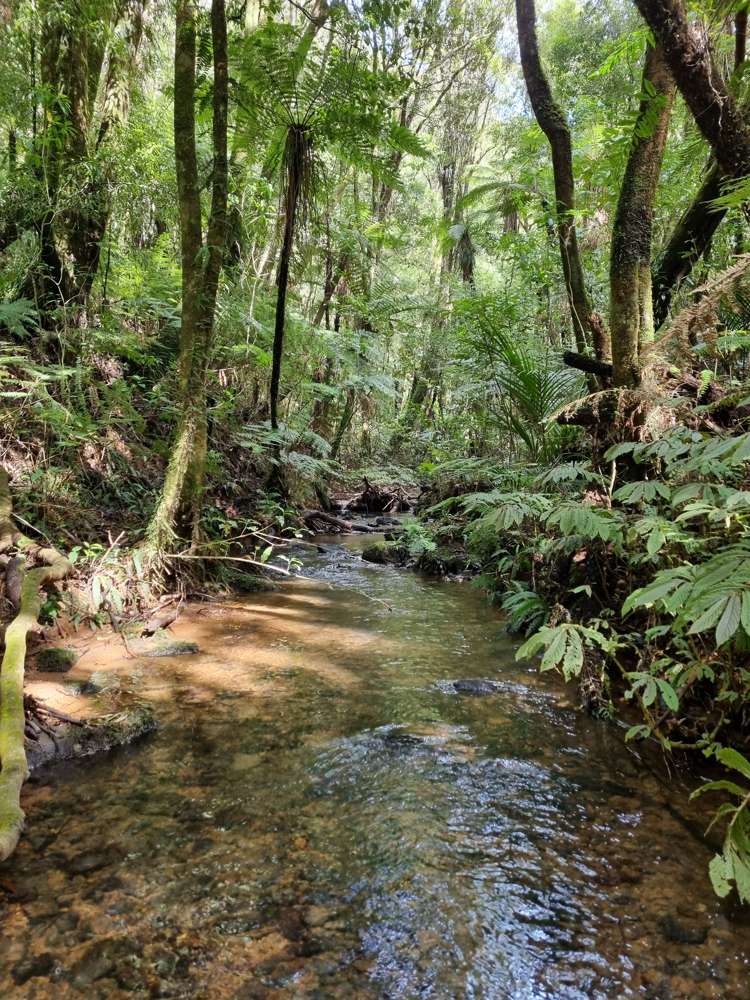 165 Pekanui Road Puketotara_30