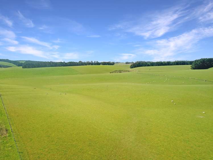 20 Carruthers Road Pomahaka_13