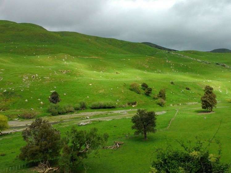 1465 Waitahora Road Dannevirke_13