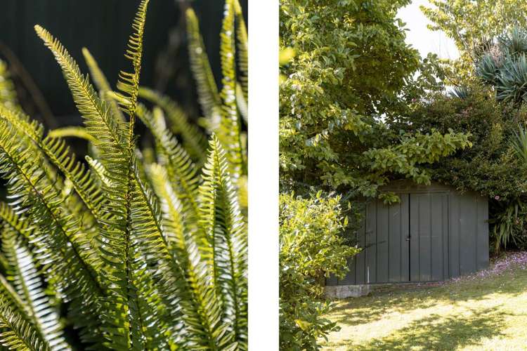 23 Osprey Drive Welcome Bay_20