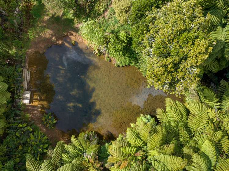 1039c Work Road Whakamarama_18