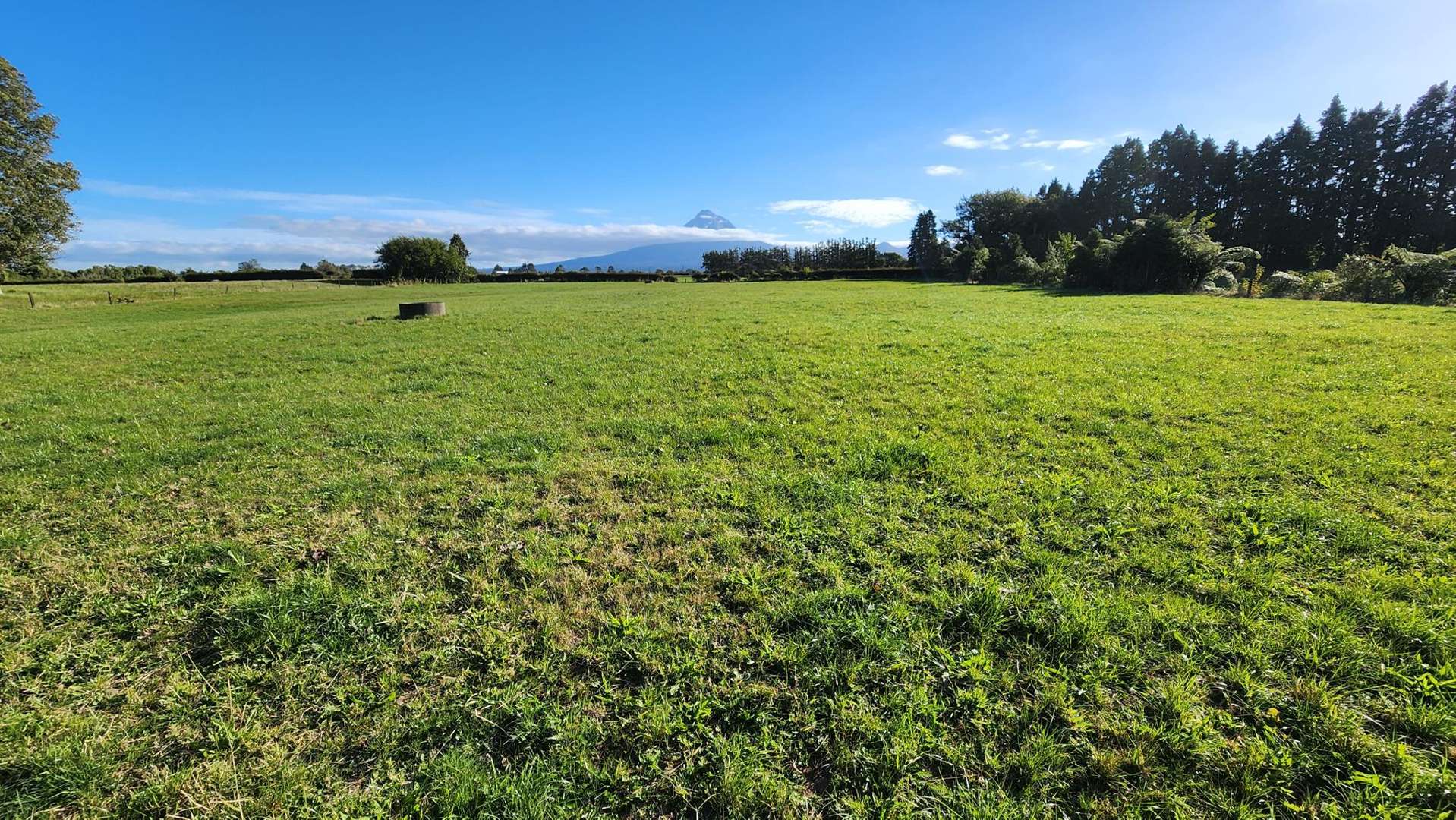 45 and 47 Windsor Road Inglewood_0