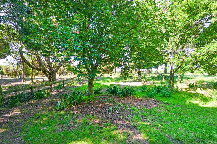 1458 Southland Road Longlands_18