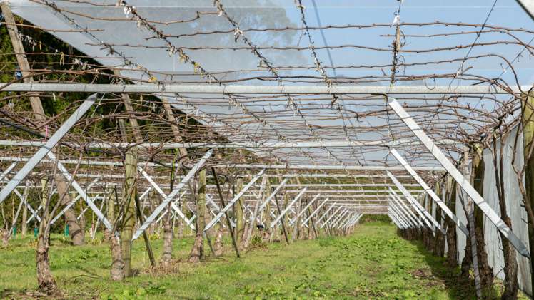 29a Strathmore Drive Aongatete_4