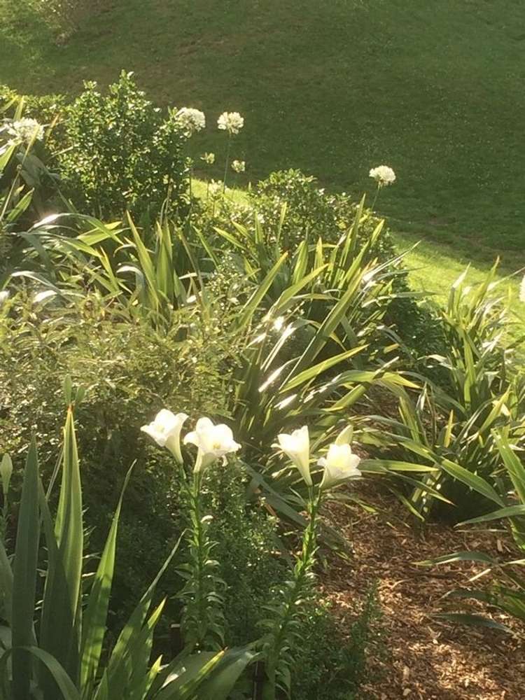 94 Raukawa Road Peka Peka_7