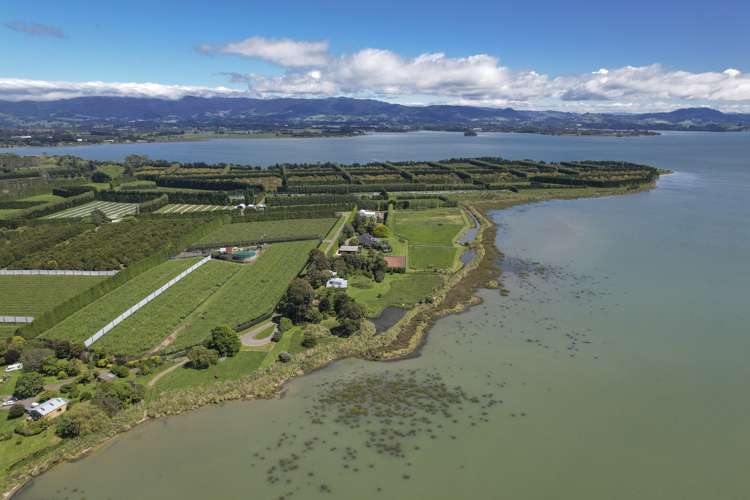 441 Matahui Road Aongatete_3