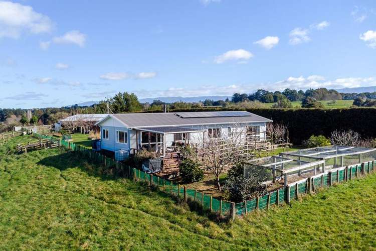 42 Cowper Side Road_0