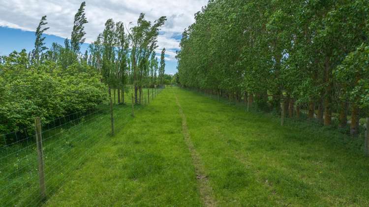 420A Woodfields Road Swannanoa_8