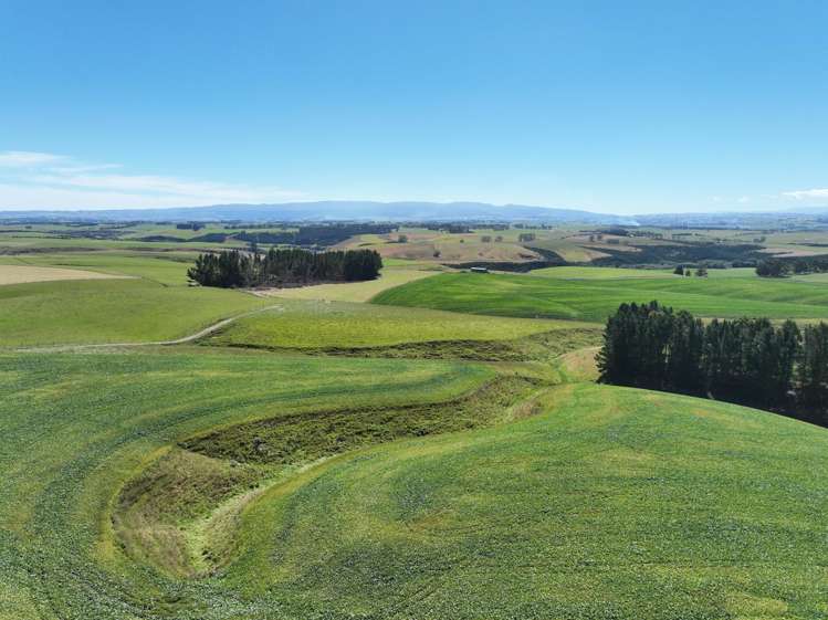 675 Black Bridge Road Ashley Downs_12